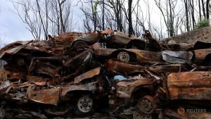 Australia begins wide-ranging enquiry into deadly bushfires