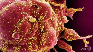 Global coronavirus cases approach 10 million