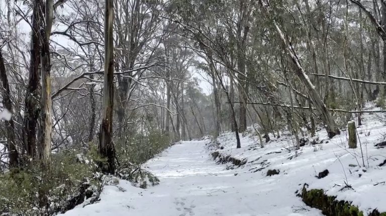 Antarctic winds trigger rare snowfall across southeast Australia