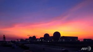 UAE’s nuclear power plant: Energy and politics