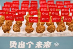 Chinese firms bet on plant-based meat as coronavirus fuels healthy eating trend