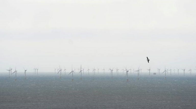 Macquarie taps renewables trend with US$2 billion infrastructure fund