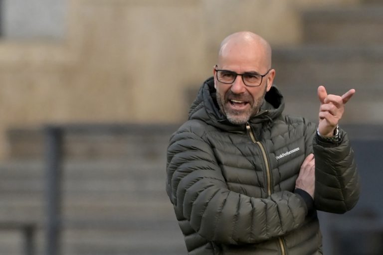 Leverkusen fire Bosz after slump, Wolf takes charge