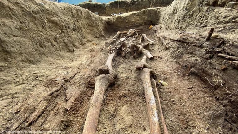 Skeletons of WWII-era nuns murdered by Soviets unearthed in Poland