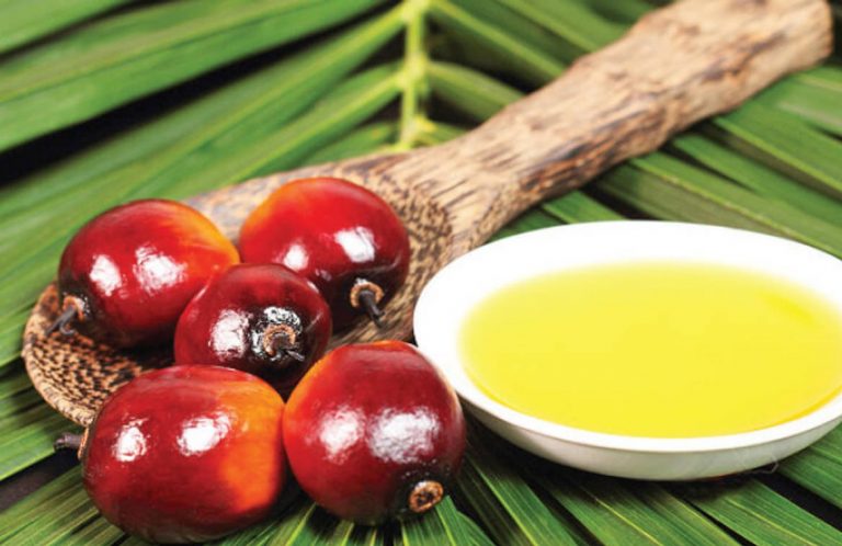 Palm oil becomes costliest vegoil as Ukraine war halts sunoil supply