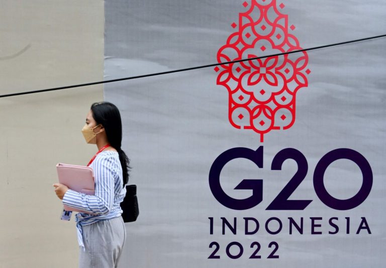 Russia’s Putin will not attend G20 summit in Bali, says Indonesian official
