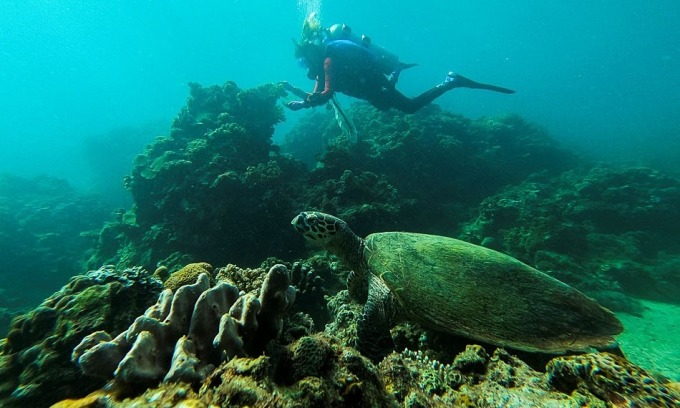 Philippines weighing legal options against China over coral reef ‘destruction’